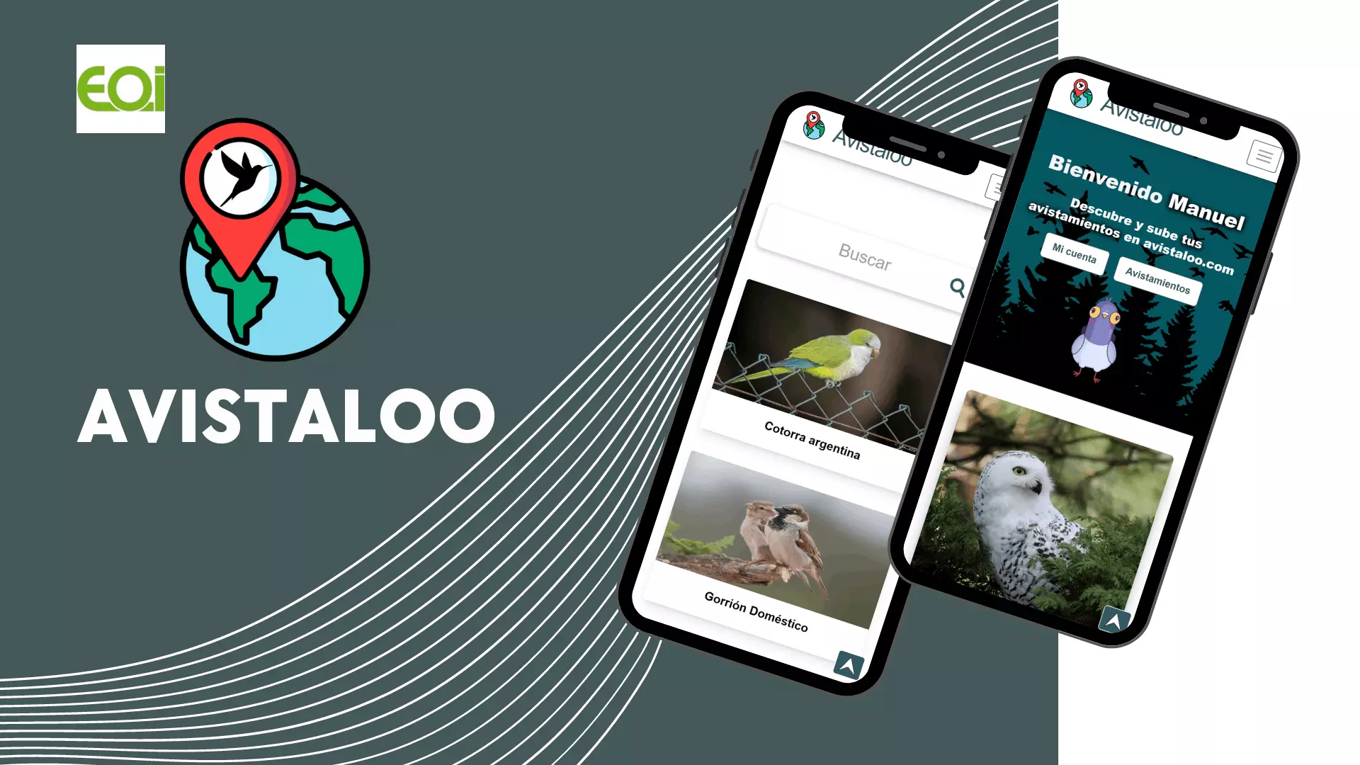 Captura del proyecto Avistaloo